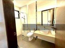 Mount Sinai (D10), Terrace #464309351